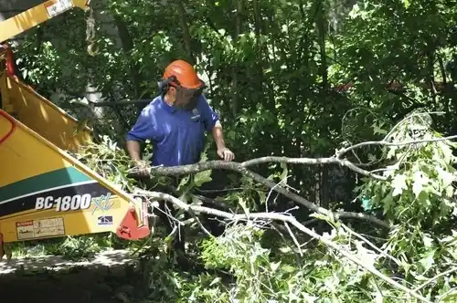 tree services Grover